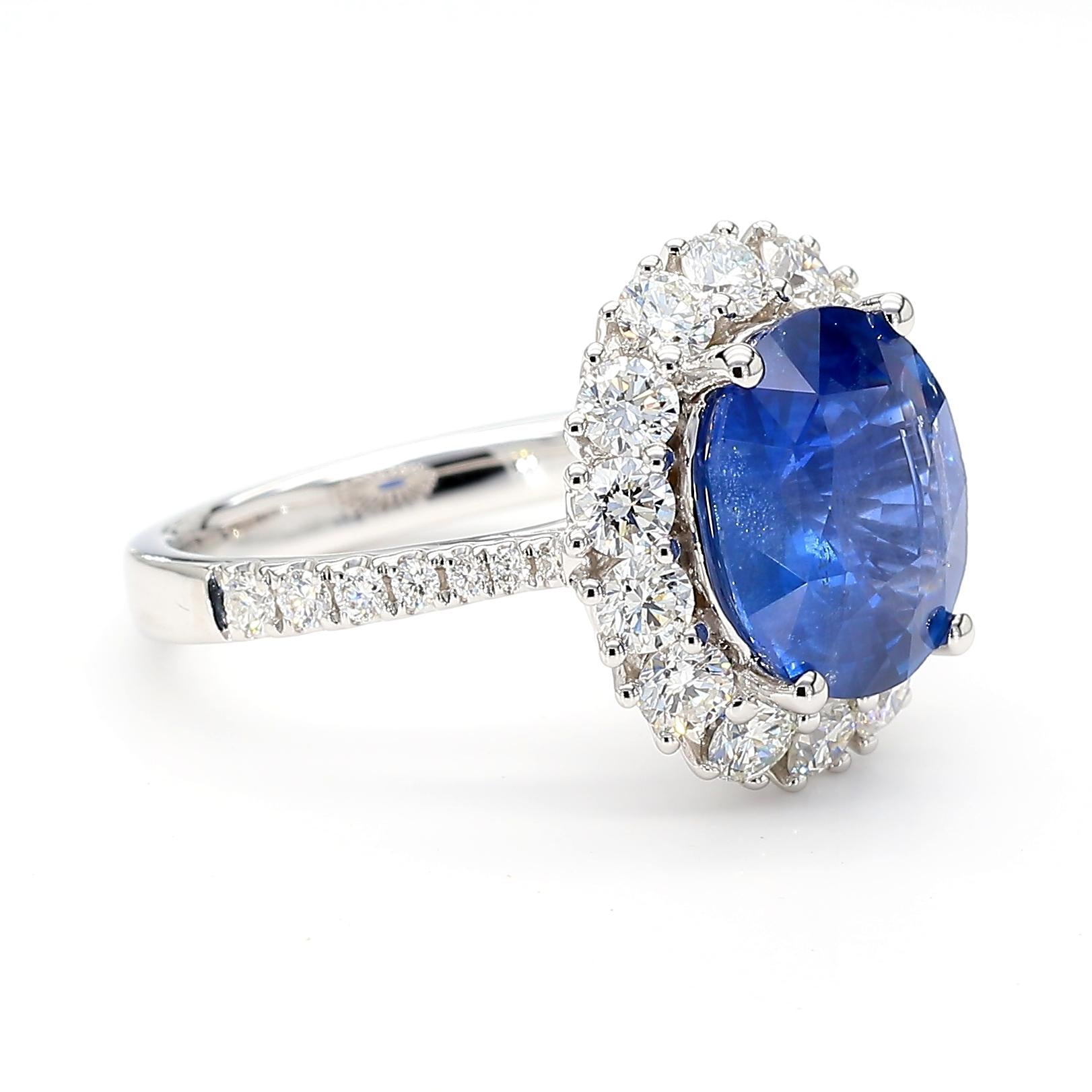 Natural Blue Oval Sapphire and White Diamond 5.51 Carat TW Gold Cocktail Ring
